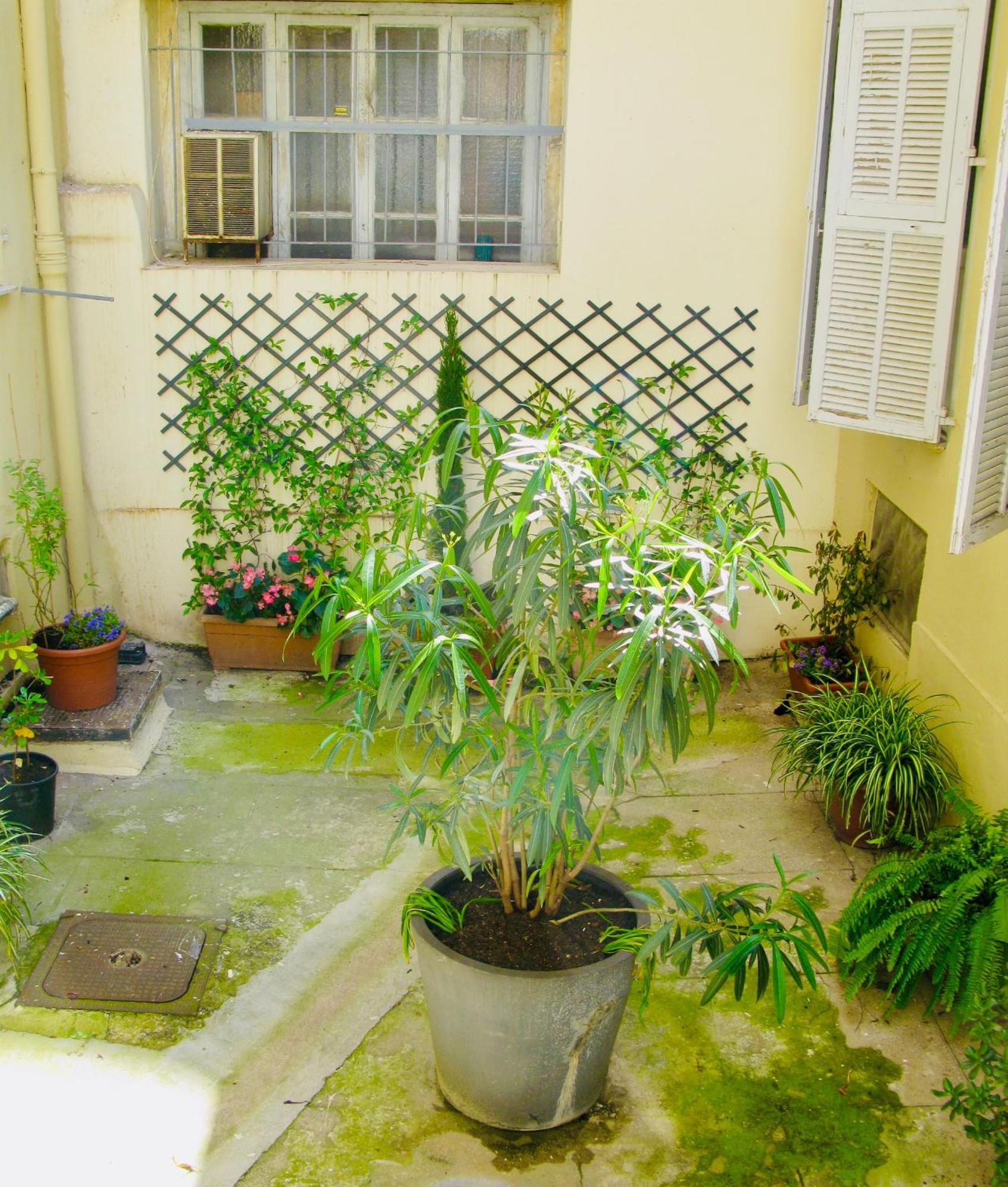 Place Wilson Nizza Exterior foto